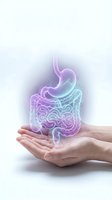Glowing digestive system anatomy floating above cupped hands on white background for medical education and healthcare concepts.