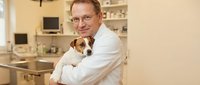 Middle-aged Caucasian male veterinarian in white coat holding small brown and white dog in modern veterinary clinic examination room for pet healthcare.