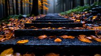 Wet wooden steps covered with fallen autumn leaves lead through misty forest at dawn. Orange maple foliage contrasts with dark wood in moody atmospheric scene.