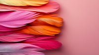 Vibrant curved feathers in pink, orange and yellow gradient colors arranged in horizontal rows against soft pink background, creating modern minimalist composition.