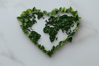 Fresh green leaves arranged in heart shape forming world map continents on white marble background, eco-friendly concept for environmental love and care.