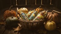 Autumn harvest display with colorful corn ears in wicker basket surrounded by pumpkins and gourds on rustic wooden surface for seasonal decoration.