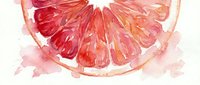 Watercolor grapefruit slice with vibrant pink and red segments on white background, fresh citrus fruit illustration for healthy lifestyle designs.