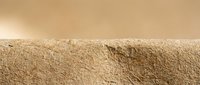 Sandy beach shoreline with gentle waves meeting golden sand under warm sunlight creating peaceful coastal atmosphere for vacation and relaxation concepts.