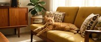 Ginger tabby cat relaxing on mustard yellow sofa with patterned pillows in mid-century modern living room with wooden furniture and potted plant.