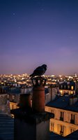 Silhouette of a pigeon perched on a rooftop chimney at dusk, overlooking an illuminated cityscape with bokeh lights and twilight sky for urban wildlife and evening atmosphere concepts.