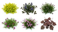 Collection of decorative plants and foliage in various colors isolated on white background for landscaping and garden design projects.