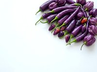 Fresh purple eggplants arranged on white background for cooking and healthy eating concepts.