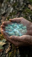 Hands holding glowing digital forest network with connected nodes representing environmental technology and nature conservation concepts.