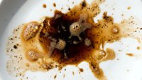 Artistic coffee stain and splatter on white surface with brown liquid droplets and powder particles, suitable for backgrounds and design elements.