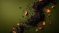 Scattered dark soil and autumn leaves floating against dark green background, creating dynamic motion effect for gardening and nature concepts.