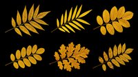 Golden autumn foliage collection featuring six isolated leaf branches in warm yellow and orange tones, ready for design use on t-shirts, clipart, stickers, and print-on-demand products.