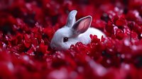 White baby bunny rabbit peeking through vibrant red flower petals in dreamy spring garden setting, creating magical nature composition with soft bokeh effect.