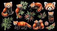 Cute red panda sticker set with bamboo, isolated on transparent background. Great for t-shirt design, print on demand, clipart, stickers, and sublimation projects.