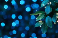 Green leaves with water droplets against blue bokeh lights background creating magical atmosphere for nature and botanical designs.