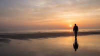 Silhouette of a person standing on wet beach sand at sunset, gazing toward golden horizon with calm ocean waves and reflective water surface creating serene coastal landscape for travel and wellness content.