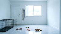 Empty room with black metal pet cage, toys scattered on floor, and window with natural light, suitable for pet care, animal shelter, or adoption facility concepts.