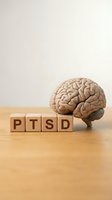 PTSD wooden blocks with anatomical brain model on wood table representing post-traumatic stress disorder mental health awareness and psychological treatment.