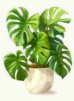 Lush monstera deliciosa plant with split leaves growing in white ceramic pot against light background. Stylized botanical art suitable for home decor prints.