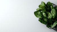 Fresh raw spinach leaves in metal basket on white background, top view. Clean eating and healthy food concept for restaurant menu and cooking.