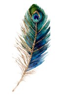 Watercolor peacock feather with gold accents, isolated on white background. Features vibrant emerald, sapphire, and turquoise hues with ornate eye pattern. Suitable for design, print, and artistic projects.