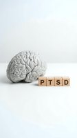 Brain model beside wooden blocks spelling PTSD on white background, representing post-traumatic stress disorder awareness and mental health education.