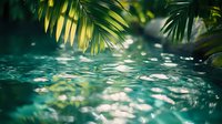 Tropical palm leaves hanging over tranquil turquoise water with sunlight creating shimmering reflections on the rippling surface.