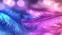 Delicate feather macro with vibrant pink and blue gradient lighting effect, soft bokeh background creates dreamy atmospheric mood for romantic designs and backgrounds.
