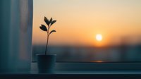 Young plant growing in pot on window sill silhouetted against dramatic orange sunset sky, symbolizing hope, growth and new beginnings.