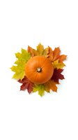 Orange pumpkin surrounded by colorful autumn maple leaves on white background isolated for seasonal design and harvest decorations.