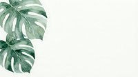 Watercolor monstera leaves on white background, soft green tropical botanical art with copy space for cards, posters, and prints.