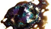 Iridescent mineral specimen with purple, teal, and golden metallic crystalline formations on dark matrix, suitable for geology, science education, and natural wonder content.