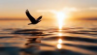 Silhouette of bird flying over calm ocean water at sunset with golden sun reflection creating peaceful seascape atmosphere.