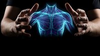 Hands protecting glowing blue anatomical torso hologram showing human chest and shoulder muscle structure for medical education and healthcare technology concepts.