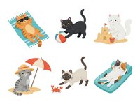 Cute cats relaxing and playing on beach with towel, ball, umbrella, and toys. Isolated clipart collection ready for design projects, t-shirts, and children's illustrations.