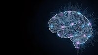 Digital brain with circuit patterns and glowing neural connections on dark background for artificial intelligence and technology concepts.