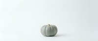 Sage green pumpkin isolated on white background for autumn decor, fall crafts, seasonal design projects and harvest themed graphics.