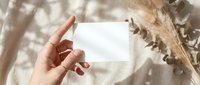 Female hand holding blank white business card mockup with natural shadow overlay from dried plants and pampas grass for branding presentation.
