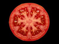 Fresh tomato slice isolated on transparent background, ready for culinary design, recipe graphics, food packaging, print-on-demand products, t-shirt designs, and digital food illustrations.
