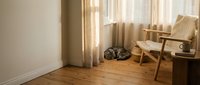 Tabby cat sleeping curled up on warm wooden floor near sheer curtains in cozy Scandinavian-style living room with natural sunlight.