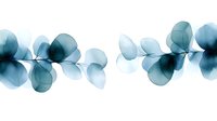 Ethereal blue eucalyptus leaves in x-ray style create delicate transparent floral border pattern on white background, suitable for modern minimalist design projects.