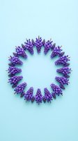Purple grape hyacinth flowers arranged in circular wreath pattern on light blue background for spring decoration and floral design projects.