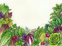 Colorful garden vegetables and fresh produce arranged at bottom border with green leaves and purple accents on cream background, suitable for recipe design, cooking blogs, farmers market promotions, and culinary publications.