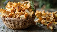 Fresh golden chanterelle mushrooms in wicker basket with rosemary herbs on rustic wooden surface for gourmet cooking and culinary ingredients.