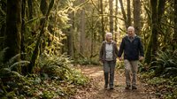 Happy senior couple walking hand in hand through moss-covered forest path surrounded by lush green ferns and towering trees in peaceful woodland setting.