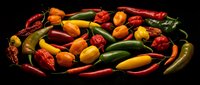 Colorful assortment of fresh hot chili peppers in red, yellow, green, and orange on a dark background, showcasing variety and spice.
