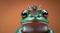 Green tree frog wearing tiny royal crown against blurred orange background, humorous concept of frog prince or animal royalty in nature.
