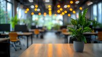 Modern office workspace with potted plant on wooden desk, blurred background with bokeh lights creating cozy atmosphere. Interior design for business environment.