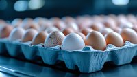 Fresh brown and white chicken eggs in blue cardboard carton container with selective focus and bokeh background, food production concept.