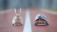 Adorable rabbit and turtle sitting on running track surface representing classic fable about slow steady progress versus quick bursts in competition.